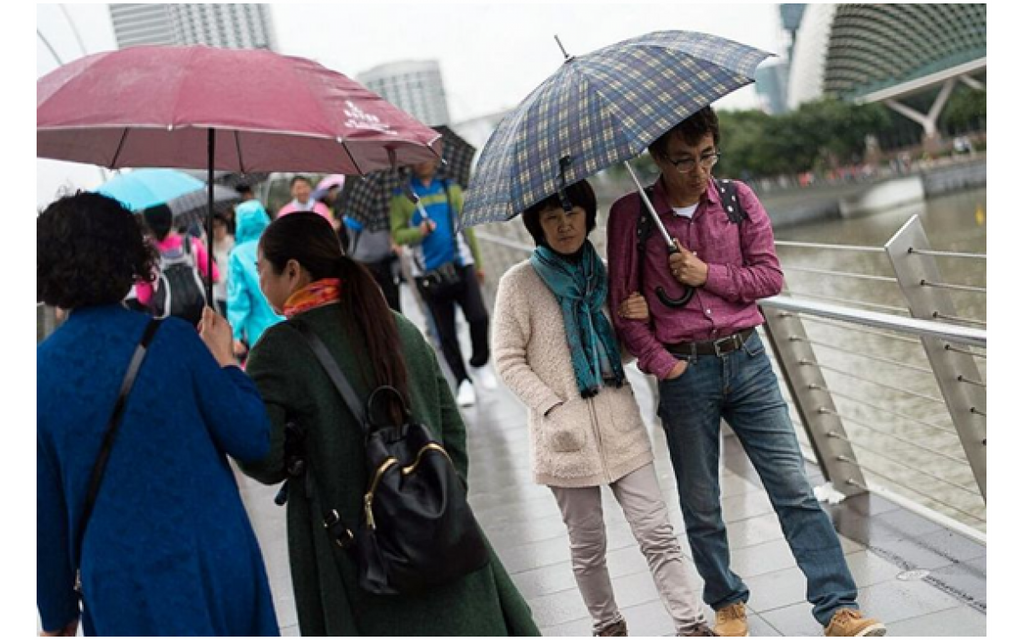 Brrr! Does Singapore’s recent cold spell affect mosquitoes?